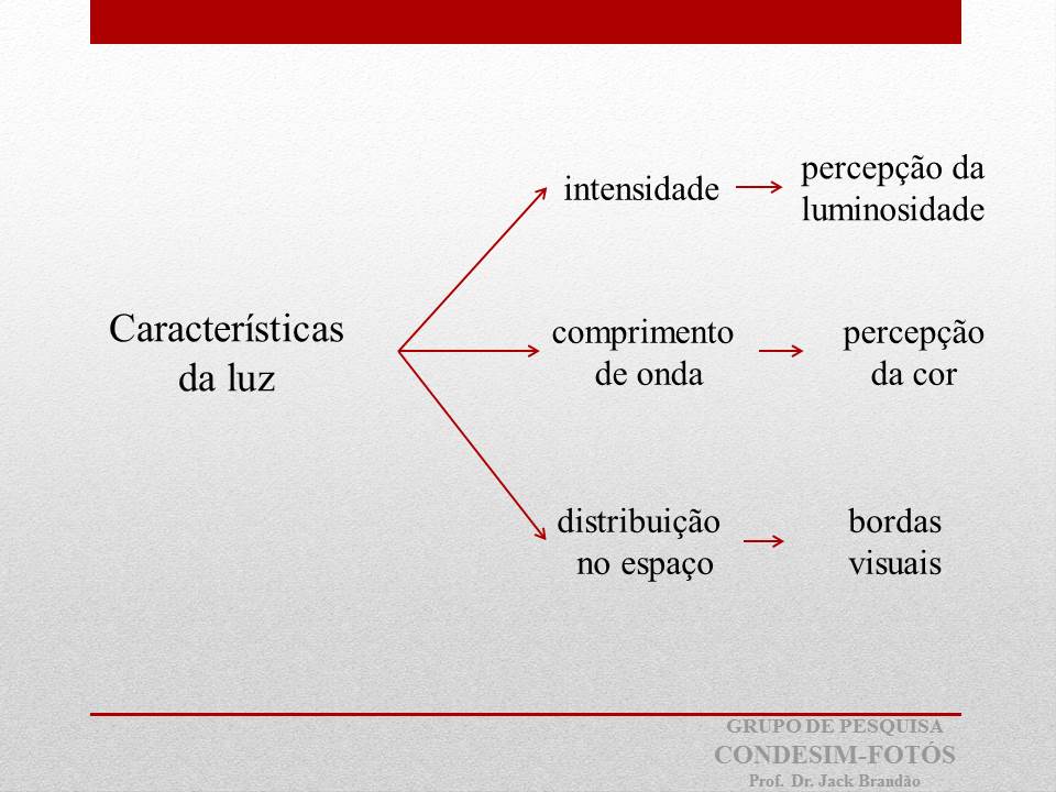 Prof. Dr. Jack Brandão - Da questão da imagem - CONDESIM-FOTÓS/DGP-CAPES - iconofotologia