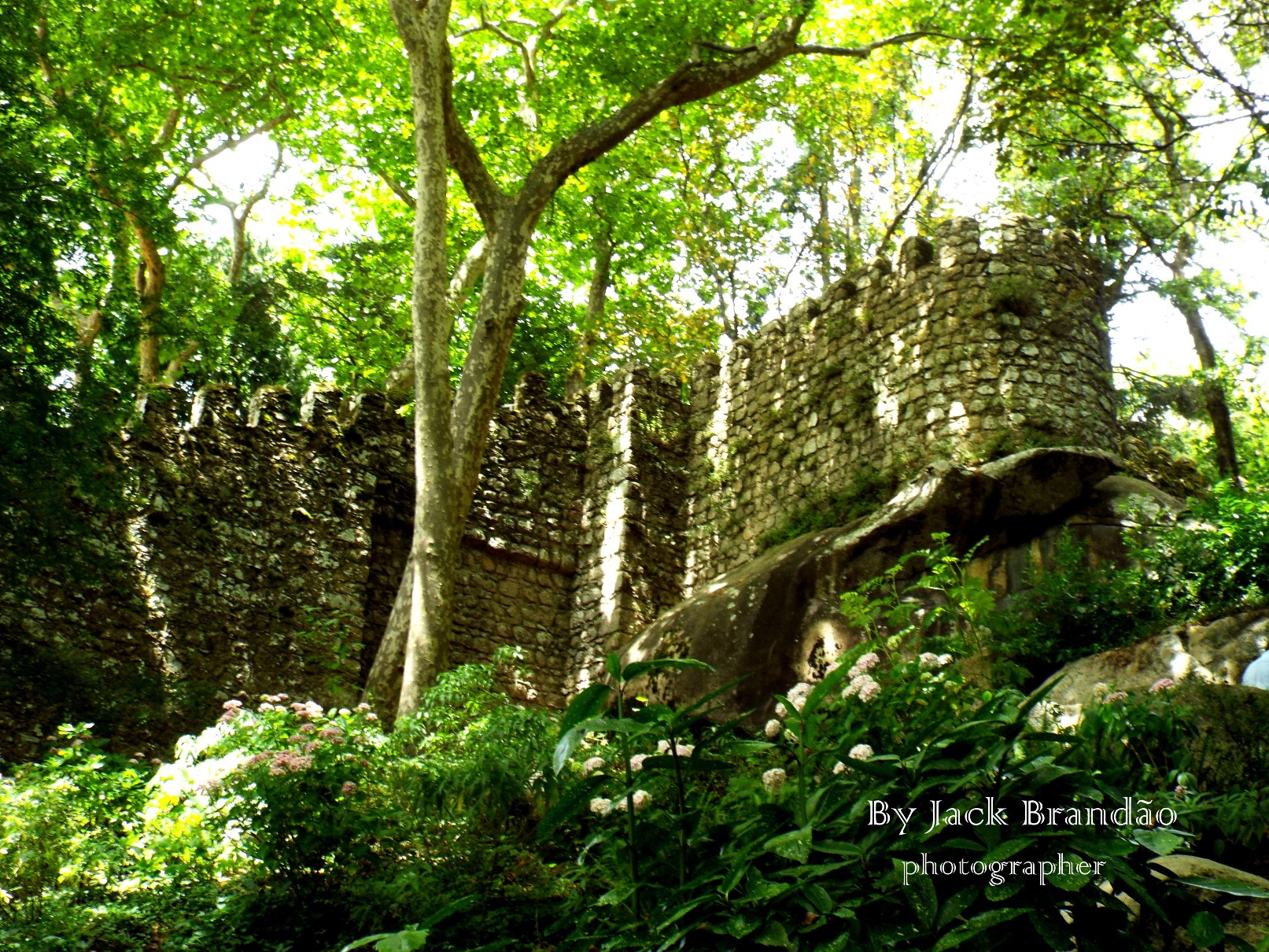 Sintra; Portugal; Castle; History;  Jack Brandão; photographer, writer, photos for sale, jackbran