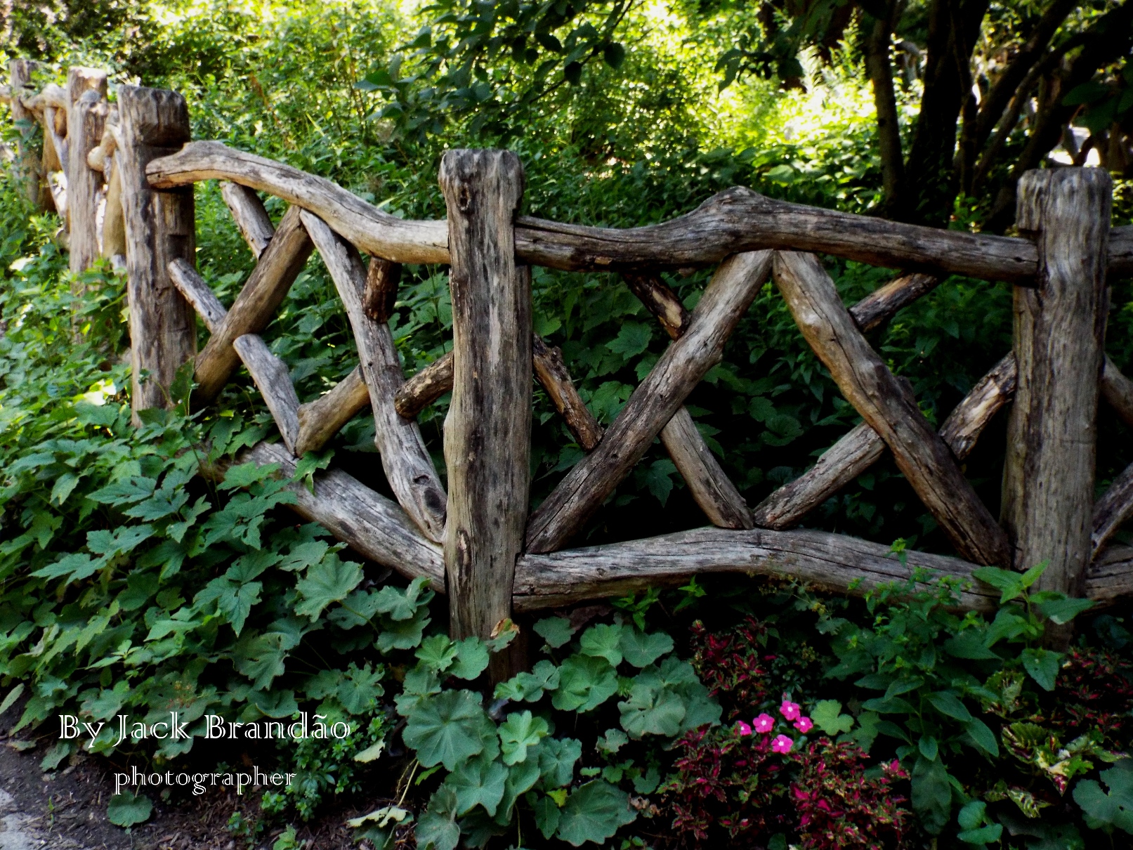  People; Park; Picnic; Grass; USA; New York; ant; Prof. Dr. Jack Brandão; photographer, writer, photos for sale, jackbran