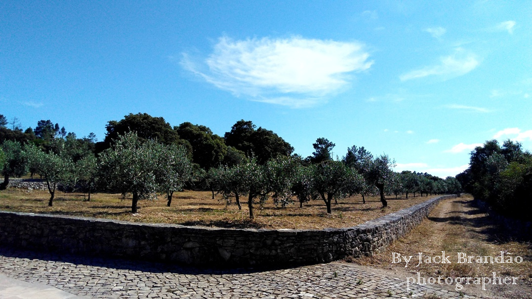  Fátima; Portugal; Nossa Senhora de Fátima; fé mariana; History; Jack Brandão; photographer, writer, photos for sale, jackbran