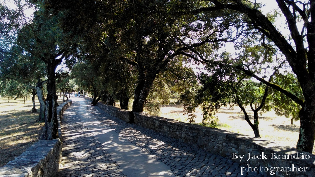  Fátima; Portugal; Nossa Senhora de Fátima; fé mariana; History; Jack Brandão; photographer, writer, photos for sale, jackbran