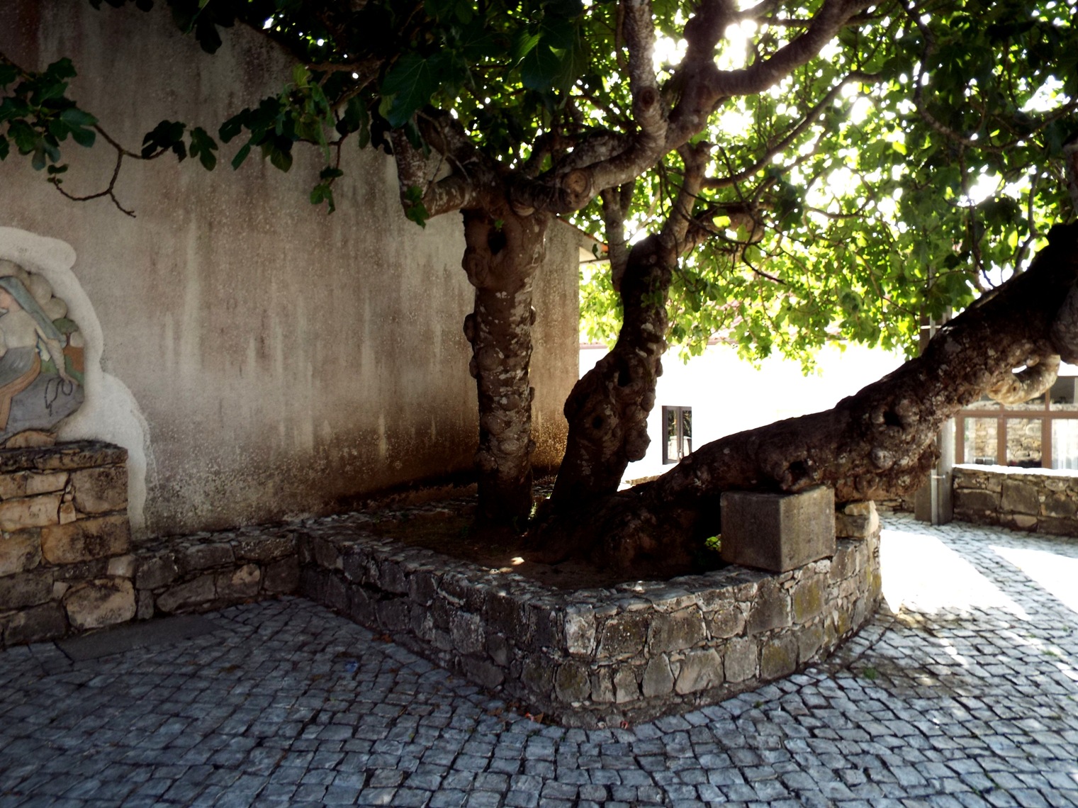  Fátima; Portugal; Nossa Senhora de Fátima; fé mariana; History; ; Jack Brandão; photographer, writer, photos for sale, jackbran