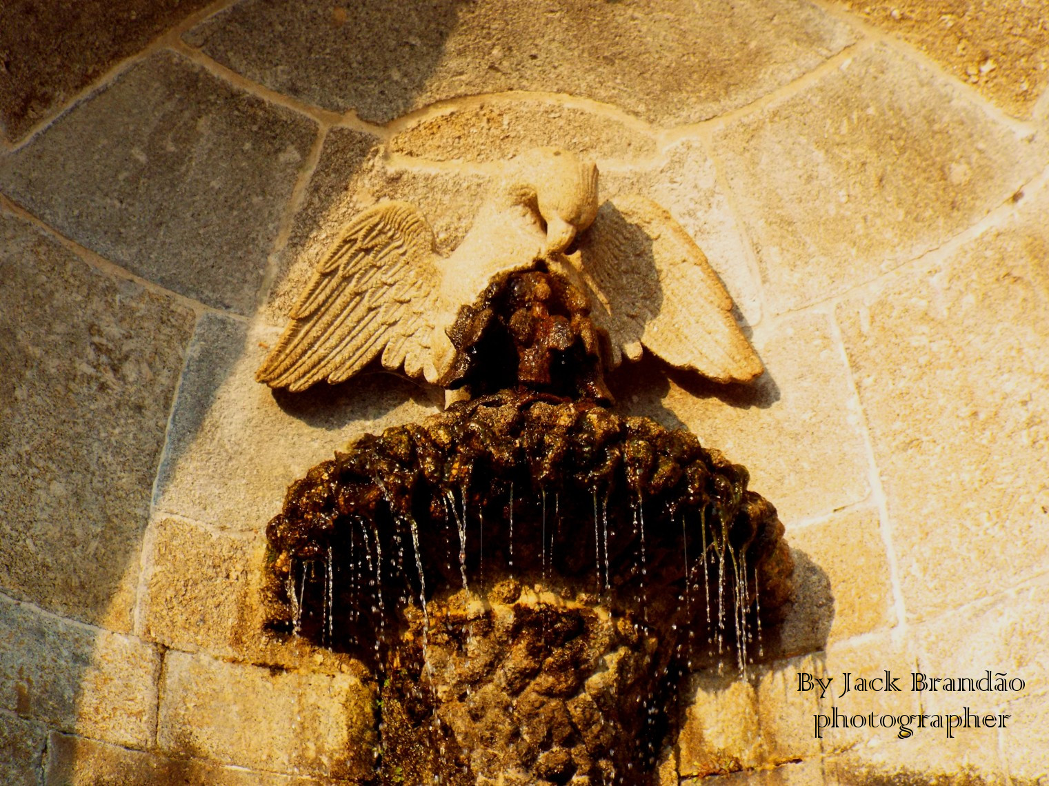 Braga, Portugal, Bom Jesus do Monte, Jack Brandão; photographer, writer, photos for sale, jackbran